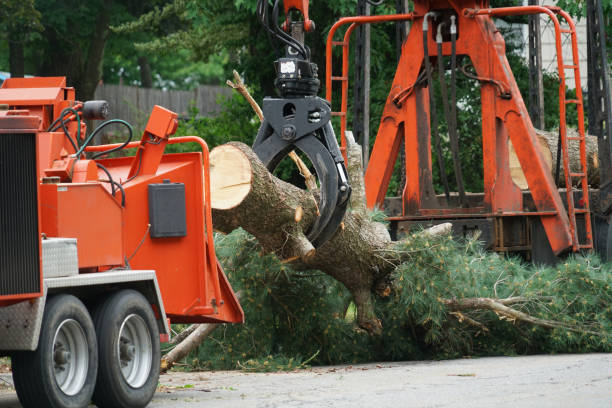Mulching Services in Selden, NY